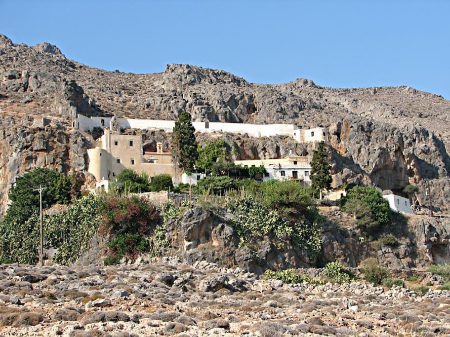 Traditional Olive House Μακρύγιαλος Εξωτερικό φωτογραφία