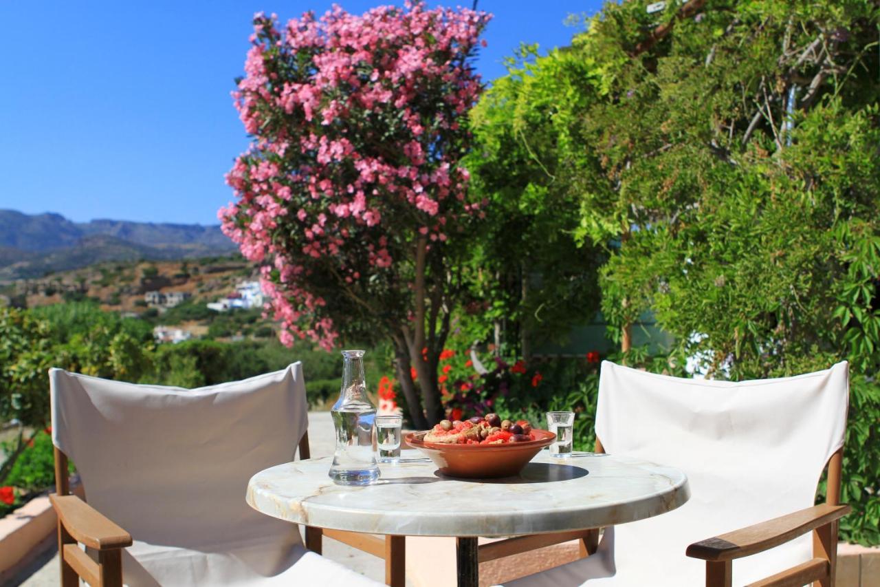 Traditional Olive House Μακρύγιαλος Εξωτερικό φωτογραφία